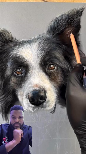 71K views · 5.3K reactions | Pastel drawing of a dog. Realistic drawing @hanna asfour fine art #Dog #petdrawing #artreels | Artist Kelle | Facebook