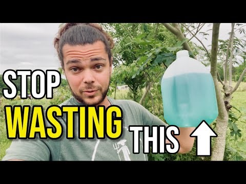 4 POWERFUL Compost Ingredients You're Wasting Daily