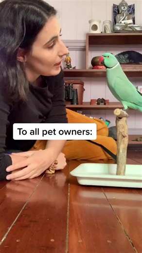 Enrich your pet’s lives with training. #parrot #smartparrot #talkingparrot #cute #adorable #funny #PetFamily #parrotlover #bird #trending | The Blue Bird