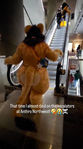 ✨️Kiki✨️ on Instagram: "Went ahead and put my video bloopers together of the time that I almost died on the escalators at Anthro Northwest! 😱😭☠️ I hope you enjoy these silly little clips that captured me in glorious clumsiness! 😅💖😋 📹: @anyafoxpawsfurtography Likes, comments, & shares are always appreciated! 🐾💜 ☆ ☆ ☆ 🏷's: #furry #fursona #reels #foryou #fyp"