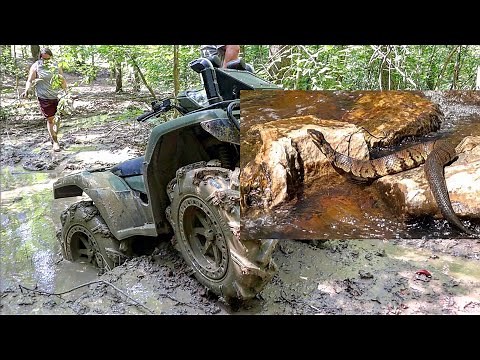 SNAKE Encounter While Atv Mud Riding