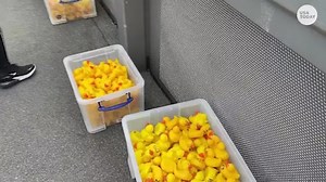 Over 1,000 rubber ducks hit the water in a race to raise money for a children's hospital