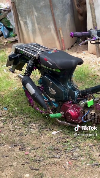 Exploring the Super Cub Motor Variants