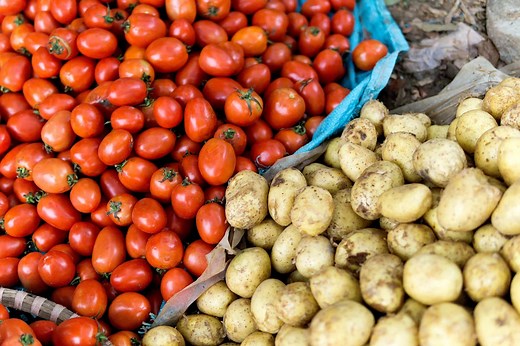 How the Potato Got Its Start Nine Million Years Ago—Thanks to a Tomato