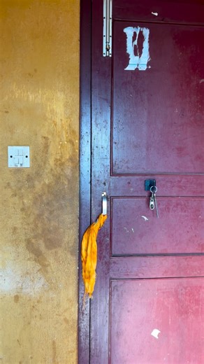 Dog taking shower 😂 | Chedu Ngoimu