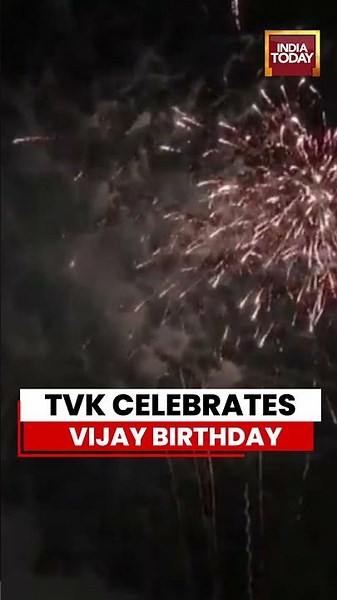 Vijay Birthday: TVK Holds Grand Celebration For Tamil Nadu CM C Joseph Vijay #tvk #tamilnadu