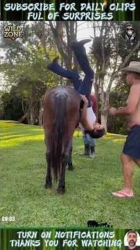 The Most Powerful Human Animal Connections Ever Recorded! (2025)