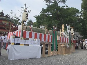 ２０年に一度の式年遷宮へ 岐阜県内各地で御神木奉曳