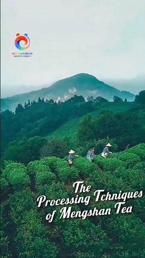 Sichuan province has a long history of tea cultivation, with Ya’an city being renowned | Sichuan