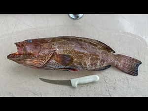 BEST Way to Fillet Black Grouper