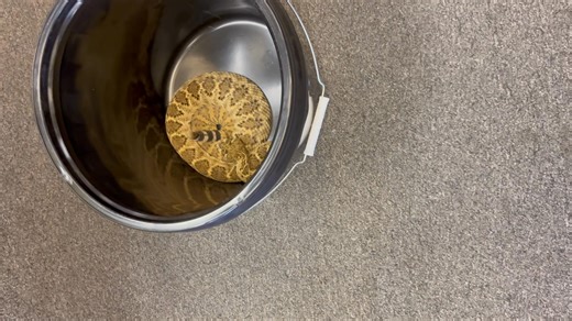 4.7K views | Jeff Wilson on Reels | Facebook