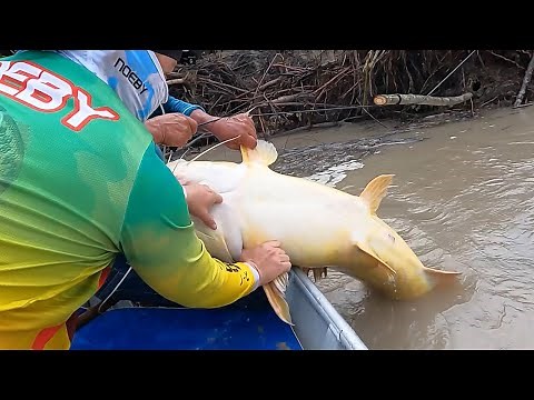Pesca y cocina de un Pez Monstruo.