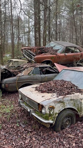 CLASSIC CARS ABANDONED #automotive #automobile #cargraveyard #explore #explorepage #abandoned #cars