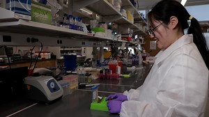 Video: Author Spotlight: Integrated OPTIR-FISH for Single-Cell Metabolic and Identity Analysis in Complex Environments