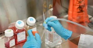 Ontario college executive pay increases as layoffs and campus closures hit