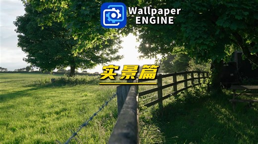 【Wallpaper Engine】壁纸推荐 实景篇