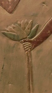 126K views · 1.8K reactions | The lotus flower held great...