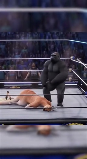 Gorilla Knocks Out Kangaroo with One Powerful Punch