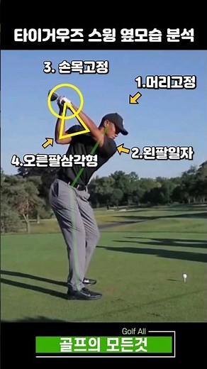 타이거우즈 스윙 반복편집 분석