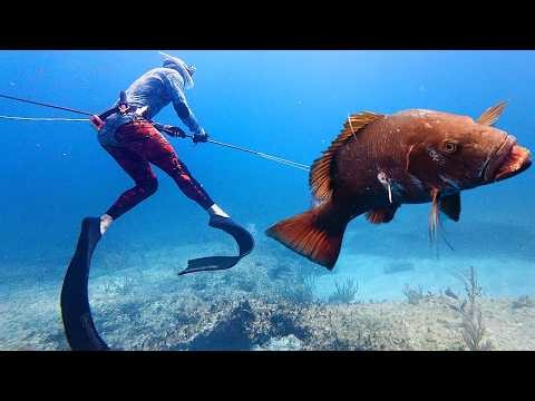 I Can't Believe It! Polespeared My BIGGEST FISH While Spearfishing The BAHAMAS!
