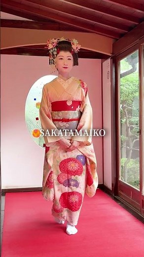 こんにちは🌸舞妓の世界へ、ようこそ👘✨酒田舞妓 #酒田甚句 #日本文化 #伝統芸能