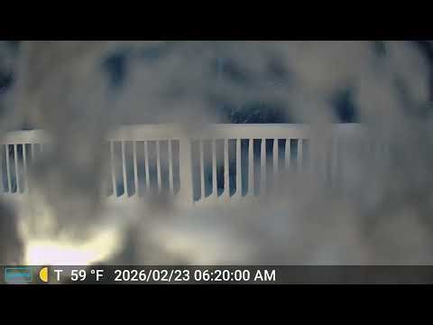 20260223 blizzard timelapse