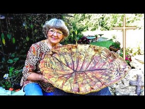 My Big Leaf Portland Cement Bird bath in Ga.U.S.A.