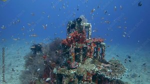 years of coral growth on a pyramid artificial reef with colorful tropical fish swimming around