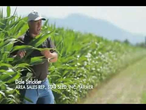 Mycorrhizal Applications Video Commercial