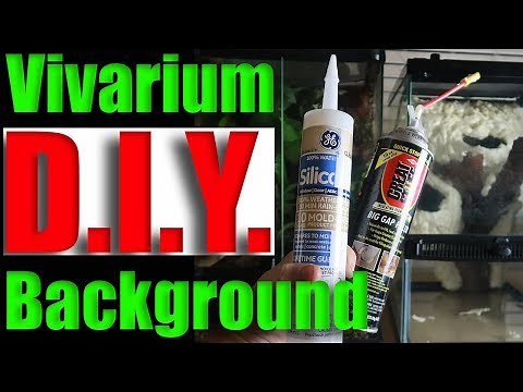 DIY Vivarium Background!