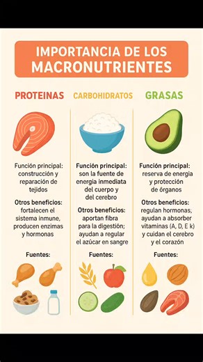 Importancia de los macronutrientes #salud #alimentossaludables #fblifestyle #viralreelsシ #viralreels #relsviral | Viajeros Perú