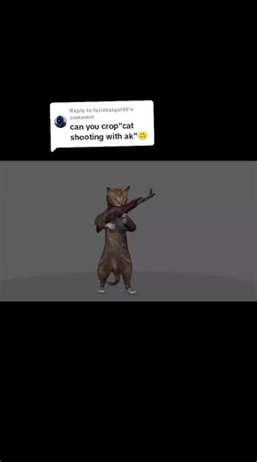 Cat Shooting Meme Compilation