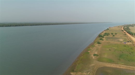 #lunajungle Bhitarkanika Mangrove Forest is the Odisha's primary mangrove forest, located in Kendrapara District, which is the second largest in India after the Sundarbans. CMO OdishaGaneshram Sing KhuntiaInformation & Public Relations Department, Government of OdishaMinistry of Environment, Forest & Climate Change, Government of IndiaForest, Env. & Climate Change Department, Government of Odisha@followers | Principal Chief Conservator of Forests, Odisha