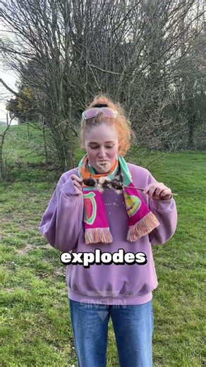 Don’t Eat This Plant Unless You Know This… 🌿😳#shorts #trending #viral #viralvideo #shortvideo