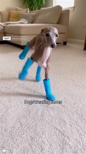 MacksonLovesBrooklynn (@mackson508)’s videos with original sound - MacksonLovesBrooklynn