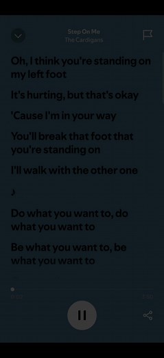 Step On Me - The Cardigans Lyrics and Meaning