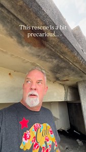 Just thought I should throw in a Truck Stop/Highway rescue dog this trip… I was just trying to find a good place to sleep last night, and this little guy crossed my path. Been tracking, feeding, watching Him all day, and the trap is set. He’s not skittish, quite the opposite, but he won’t come to me. I contacted Animal Tails Rescue in Luverne, Alabama this Morning and Beth was kind enough to loan me a trap and meet me halfway to drop it off! Thank you! The little guy is currently sleeping right 