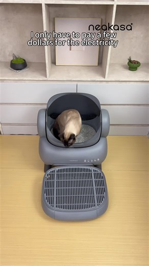 Smart Cat Litter Box for Stress-Free Pet Care