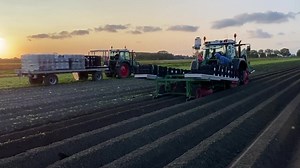 25K views · 177 reactions | Good Morning! Time to Plant Peonies 殺⭐️ order your peonies at peonyshop.com and check for the latest availability ⭐️ | Peony Shop Holland | Facebook