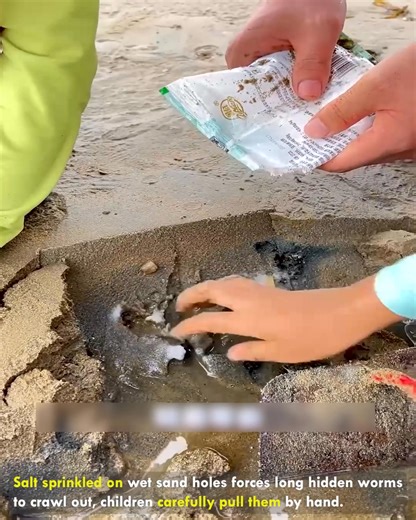 Hidden Sand Worms Come Crawling #SandWorms #BeachLife #SaltTrick #SeaCatch #OceanSecrets | lamaestramiel
