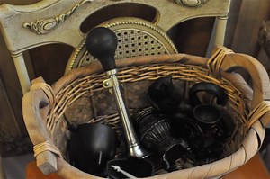 Farmington Siblings Open The Flea Circus