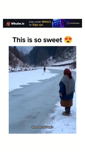 AI Clips • Funny Clips on Instagram: "The post features a 13-second AI-generated video of an elderly woman embracing a wild deer on a frozen lake, captioned to evoke a rare interspecies friendship, amassing nearly 1,800 likes within hours. Produced by Network Media and NV Media for entertainment, the clip exaggerates deer behaviour—wild cervids typically flee from humans rather than initiate affectionate contact, as noted in wildlife studies on predator avoidance. User replies mix admiration wit