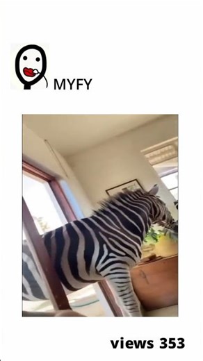 wanted to itch his back