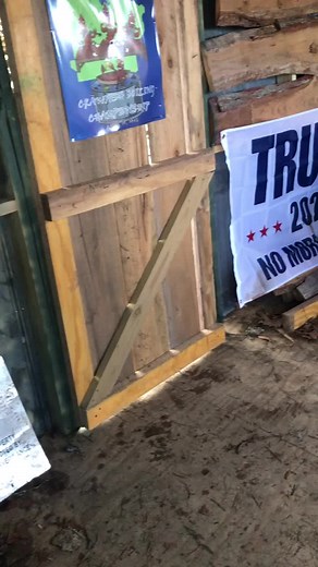 Pollywog Cabin on TikTok