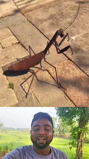 Amazing Welding Art! Grasshopper Sculpture Made from Metal 😲🔥