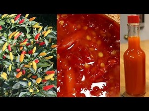 How To Make Fermented Tabasco Sauce