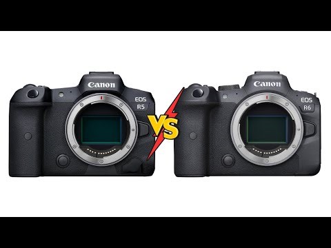 Canon R5 vs. R6: 4 Surprising Truths You Need to Know in 2025.