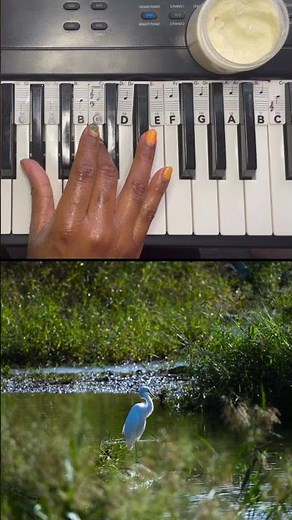 The G Sharp Major Chord