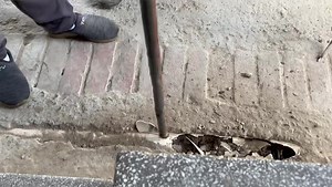 25 reactions | बाल भवन के अंदर भारत का बेहद ज़हरीला साँप . . ....