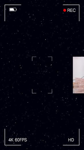 Happy 3rd Birthday to our sweet, shining star! 🌟 Mila, you fill our days with giggles, wonder, and endless love. Watching you grow has been the greatest joy—every hug, every silly dance, and every little ‘why?’ reminds us how lucky we are to be your family. Hope your day is as fun as splashing in puddles and as sweet as extra cupcakes! Three years of you = three years of pure happiness ☺️ May your year ahead be as bright, magical, and full of adventure as you are! 🎈🎂💖 Love you to the moon an